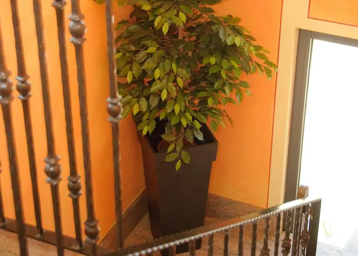 Hotel Rosa